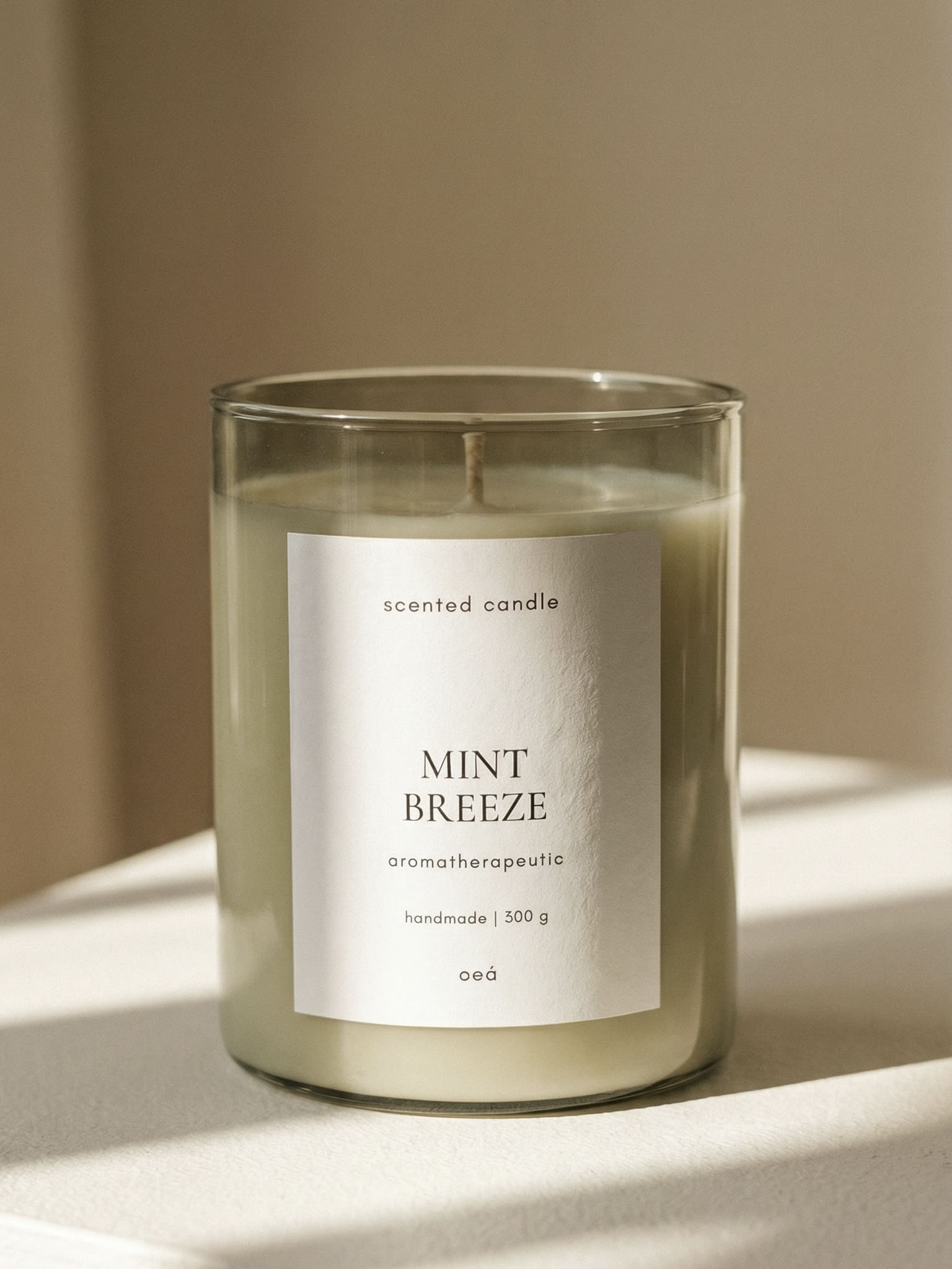 MINT BREEZE Scented Candle | Eucalyptus & Mint | Glass (300 g)